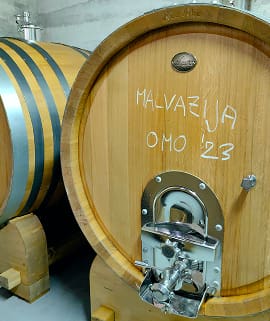 Hrastove bačve za odležavanje vina u podrumu